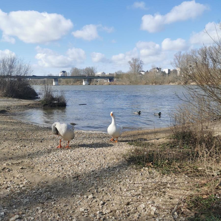 Evasion Confort Saint Marceau *